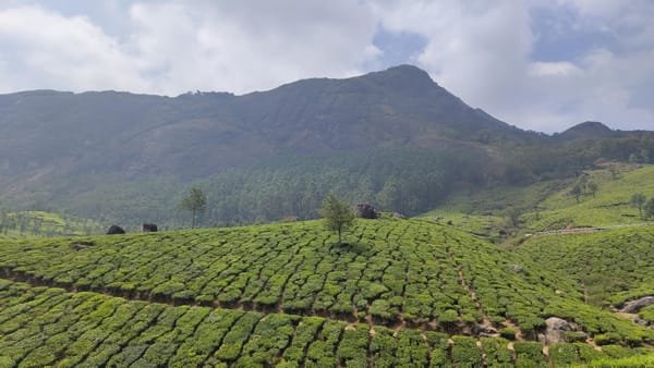 Journey into the Heart of God’s Own Country: Vinay’s Kerala Trip Review